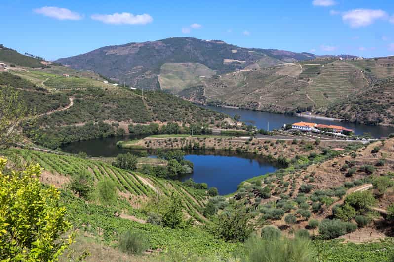 Douro Valley Douro Valley Tour Including 3 Wineries GetYourGuide