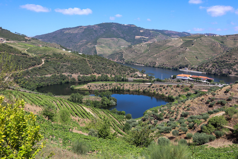 Dolina Douro: Wycieczka do Doliny Douro, w tym 3 winnicePrywatna wycieczka