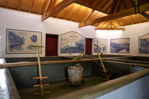 Douro Valley: Douro Valley Tour mit 3 WeingüternPrivate Tour