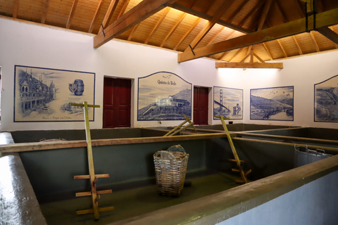 Dolina Douro: Wycieczka do Doliny Douro, w tym 3 winnicePrywatna wycieczka