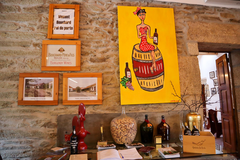 Dolina Douro: Wycieczka do Doliny Douro, w tym 3 winnicePrywatna wycieczka