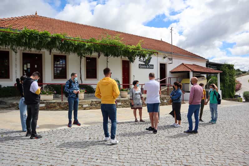 Douro Valley Douro Valley Tour Including 3 Wineries GetYourGuide
