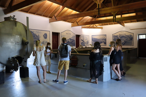 Dolina Douro: Wycieczka do Doliny Douro, w tym 3 winnicePrywatna wycieczka