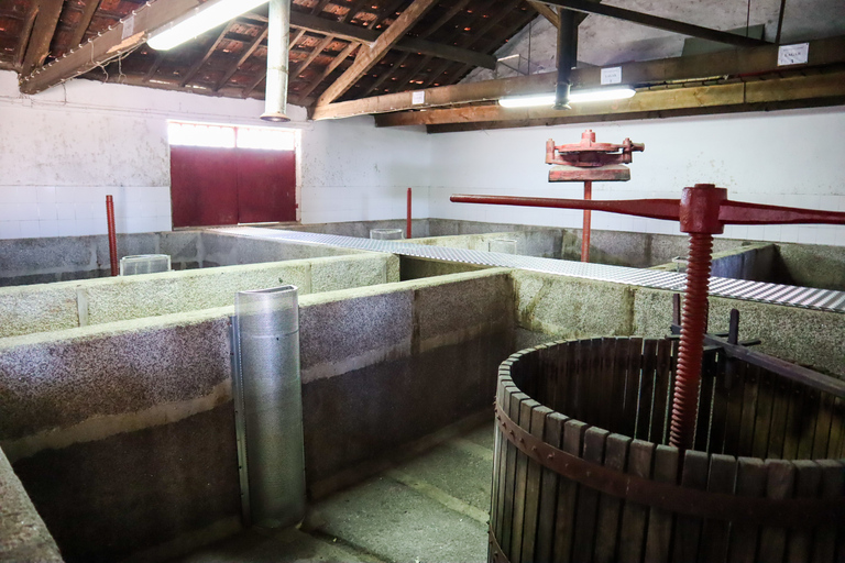 Dolina Douro: Wycieczka do Doliny Douro, w tym 3 winnicePrywatna wycieczka