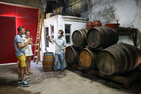 Dolina Douro: Wycieczka do Doliny Douro, w tym 3 winnicePrywatna wycieczka