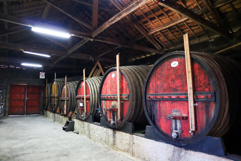 Dolina Douro: Wycieczka do Doliny Douro, w tym 3 winnicePrywatna wycieczka