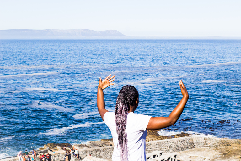 Desde Ciudad del Cabo: Cape Agulhas, Hemel en Aarde y Towns TourDesde Ciudad del Cabo: tour francés de Cape Agulhas y Hemel en Aarde