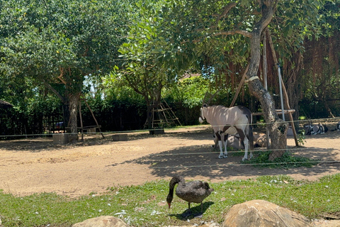 فينبيرل فينووندرز نام هوي آن مع سفاري وحديقة مائيةجولة خاصة بدون بوفيه أو عربة