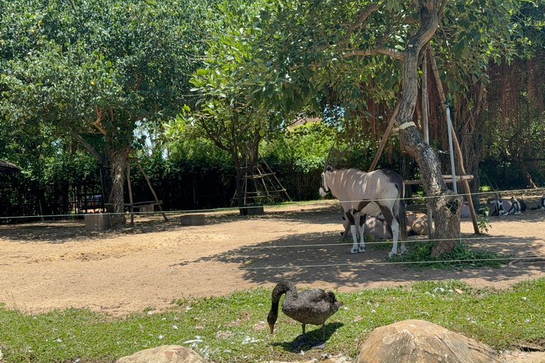 فينبيرل فينووندرز نام هوي آن مع سفاري وحديقة مائيةجولة خاصة بدون بوفيه أو عربة