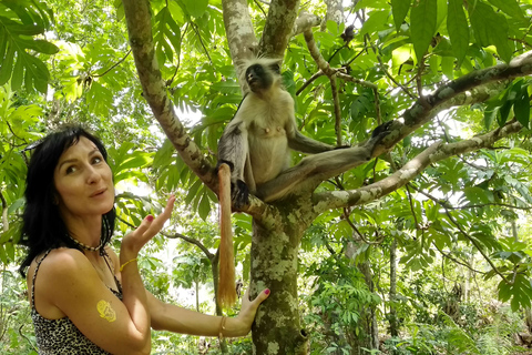 Zanzibar: Las Jozani, lokalne zoo i pływanie z żółwiamiZanzibar: jednodniowa wycieczka do Parku Narodowego Jozani Forest