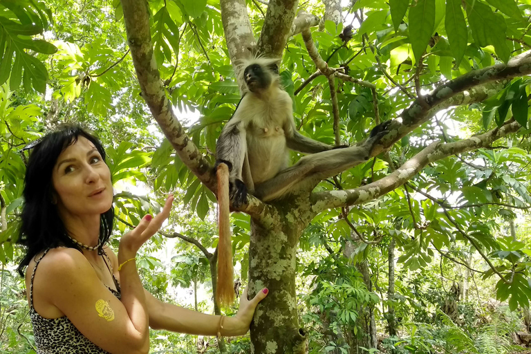 Zanzibar: Las Jozani, lokalne zoo i pływanie z żółwiamiZanzibar: jednodniowa wycieczka do Parku Narodowego Jozani Forest