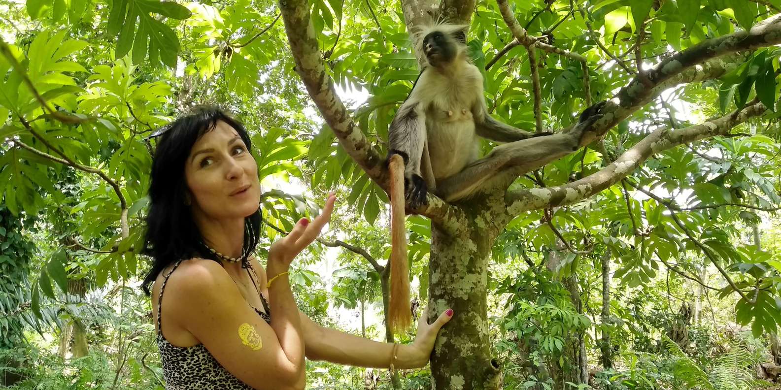 ザンジバル ジョザニの森 地元の動物園 カメと一緒に泳ぐ Getyourguide ザンジバル ジョザニの森 地元の動物園 カメと一緒に泳ぐ Getyourguide