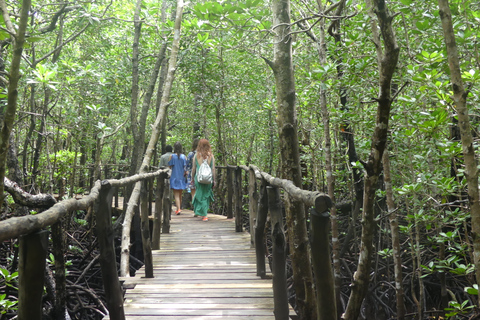 Zanzibar: Las Jozani, lokalne zoo i pływanie z żółwiamiZanzibar: jednodniowa wycieczka do Parku Narodowego Jozani Forest