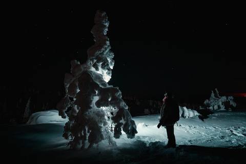 Rovaniemi: Nachtfotografie-Tour im Riisitunturi-Nationalpark