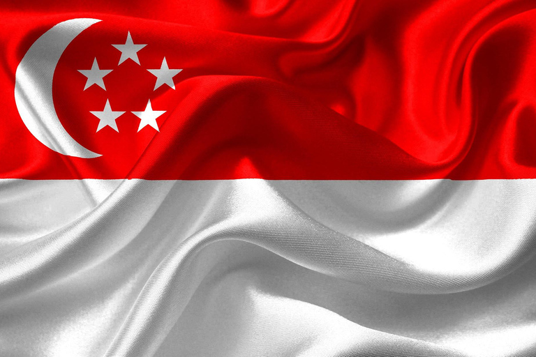 Singapore: National Museum 2H Cultural Guided Tour & Ticket