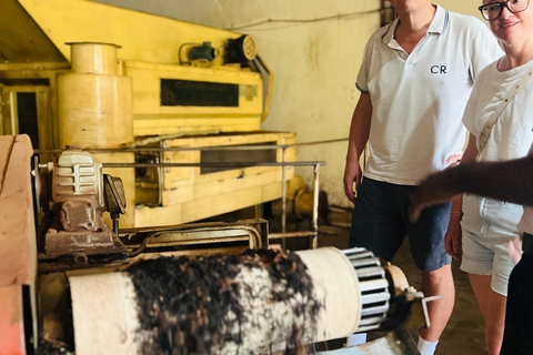 Colombo: Tea Factory Tour with City or Food Tour Option