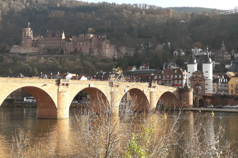 Heidelberg: Bachelor Party Beer Challenge