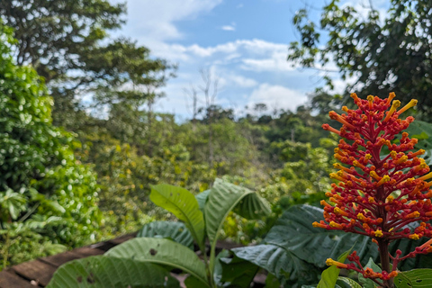 Panamá; San Blas Dos días en la selva todo incluido