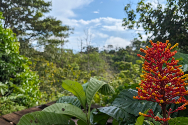 Panamá; San Blas Dos días en la selva todo incluido