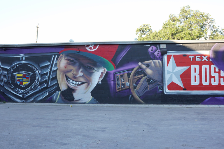 Houston: wycieczka krajoznawcza