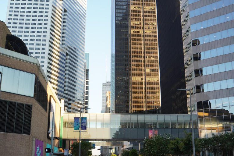 Houston: wycieczka krajoznawcza