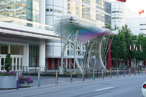 Houston: wycieczka krajoznawcza