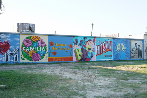 Houston: wycieczka krajoznawcza