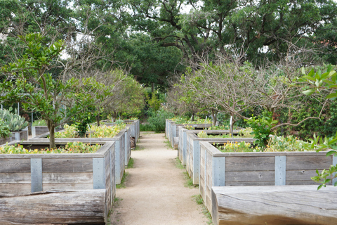 Houston: wycieczka krajoznawcza