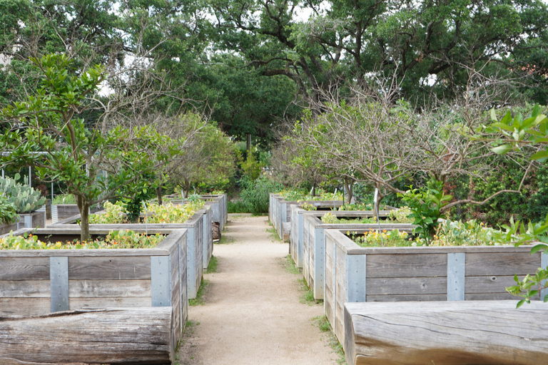 Houston: wycieczka krajoznawcza