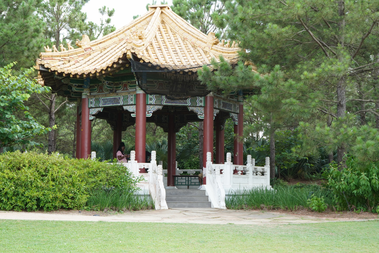 Houston: wycieczka krajoznawcza