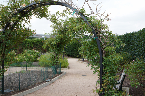 Houston: wycieczka krajoznawcza