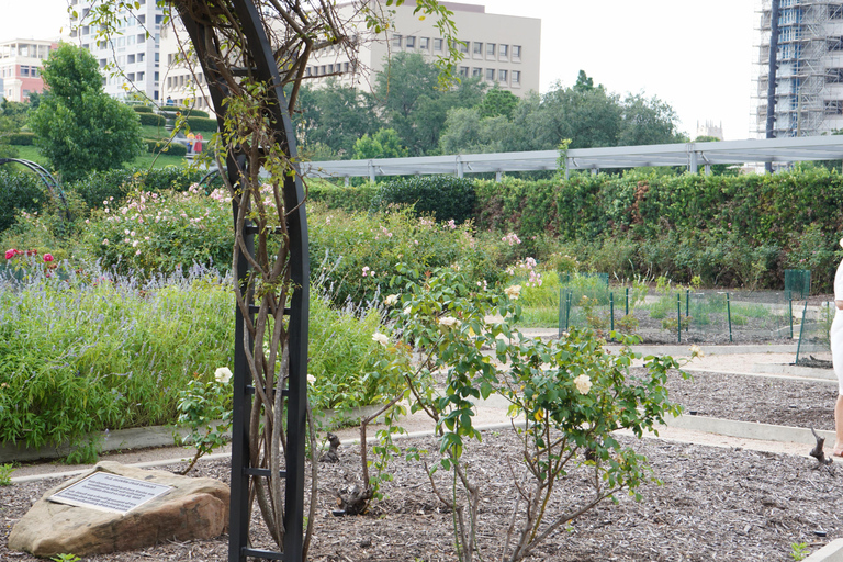 Houston: wycieczka krajoznawcza