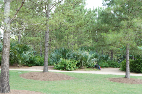 Houston: wycieczka krajoznawcza