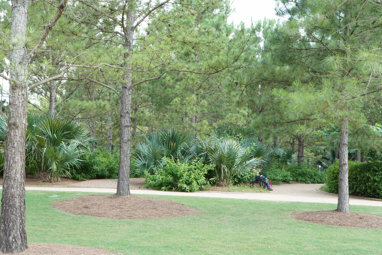 Houston: wycieczka krajoznawcza