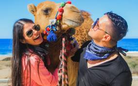 Los Cabos: Camel Safari Adventure