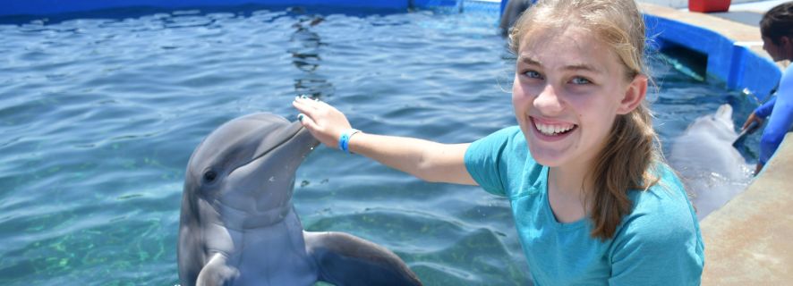 St. Augustine: Marineland Dolphin Meet & Greet