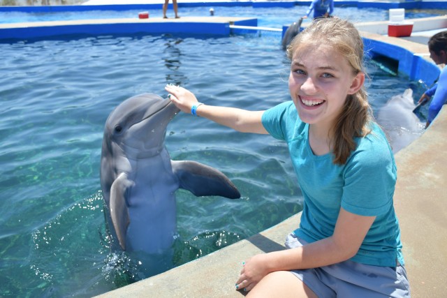 Visit St. Augustine Marineland Dolphin Meet & Greet in America East Coast