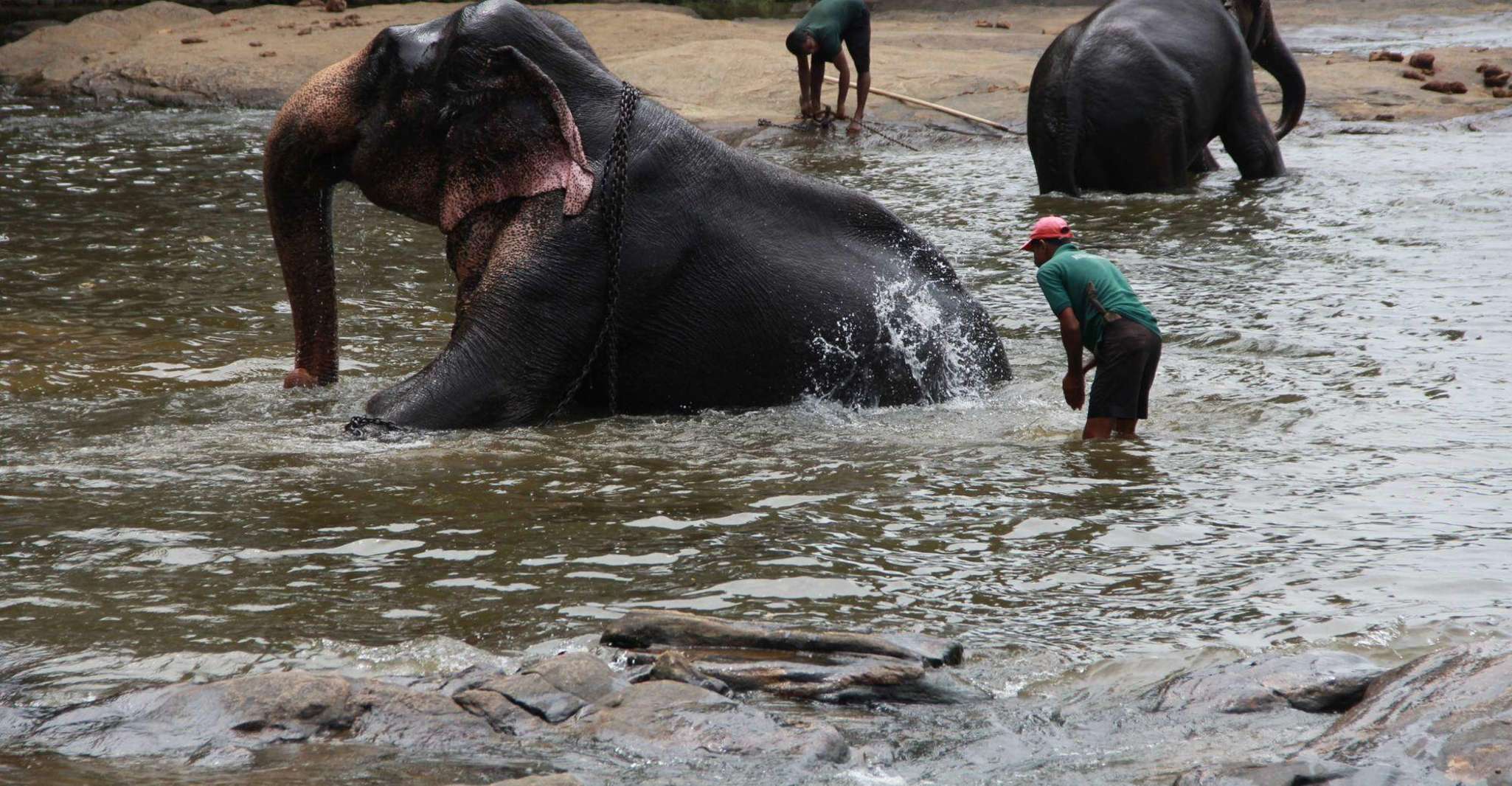 Luang prabang Elepphant keeper bathe option Kuangsi tour - Housity