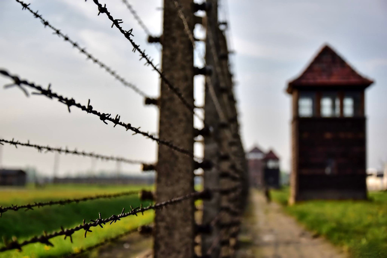 Från Krakow: Auschwitz-Birkenau-tur med transport