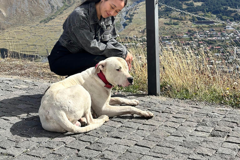 Tbilisi: Private Kazbegi tour with photographer guide