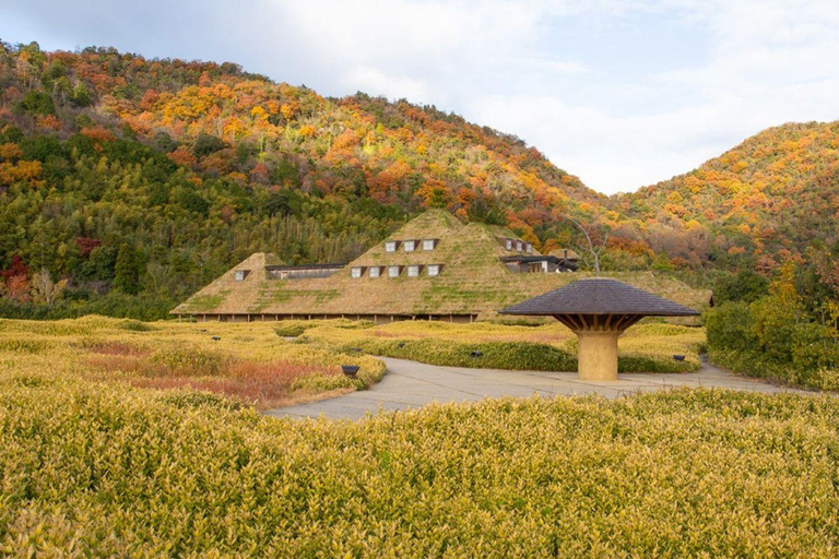 De Nagoya: Castelos e canais em Hikone e Omi HachimanPartida da estação de Nagoya