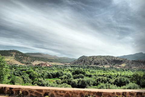 Vanuit Marrakesh: dagexcursie Ourika-vallei & AtlasgebergteDagtour door Ourika-vallei en Atlasgebergte