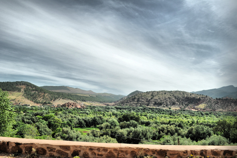 Vanuit Marrakesh: dagexcursie Ourika-vallei & AtlasgebergteDagtour door Ourika-vallei en Atlasgebergte