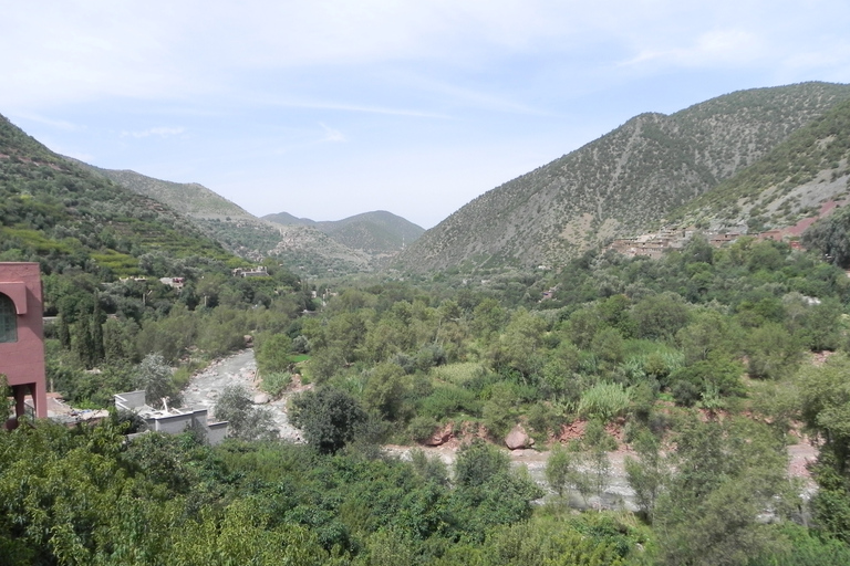 Vanuit Marrakesh: dagexcursie Ourika-vallei & AtlasgebergteDagtour door Ourika-vallei en Atlasgebergte