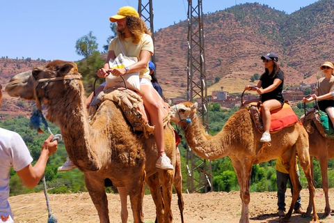 Vanuit Marrakesh: dagexcursie Ourika-vallei & AtlasgebergteDagtour door Ourika-vallei en Atlasgebergte