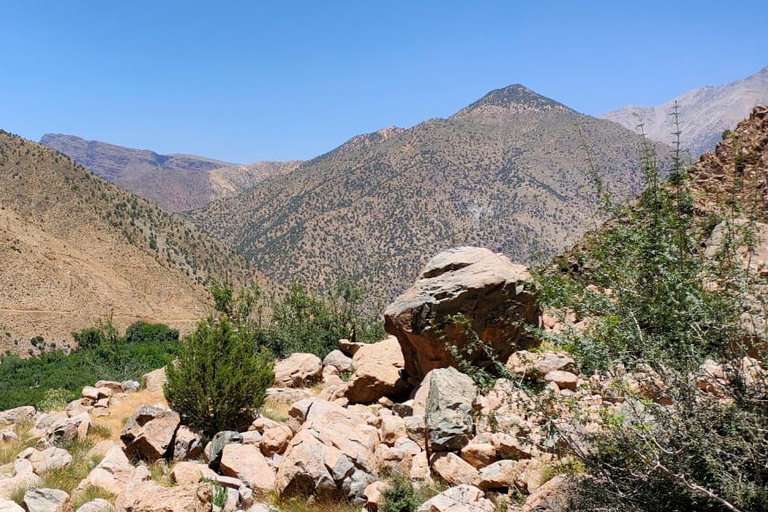 Vanuit Marrakesh: dagexcursie Ourika-vallei & AtlasgebergteDagtour door Ourika-vallei en Atlasgebergte