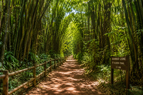 Nairobi: Karura Forest Day Trip with Guide and Entry Fees