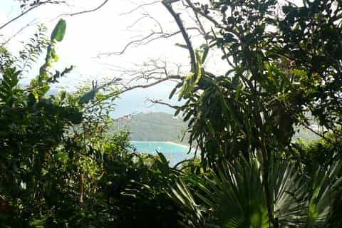 St Thomas: Phantasea Tropical Botanical Garden Nature Tour