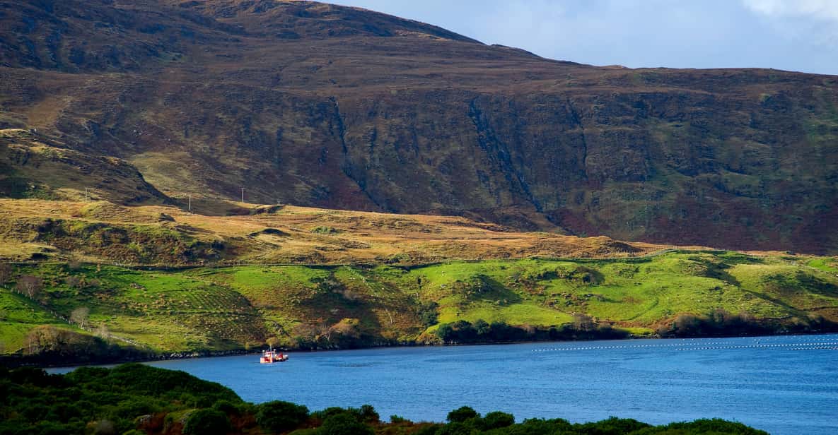 From Galway: Connemara National Park Full Day Tour
