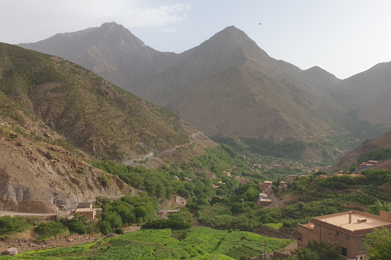 Dagsutflykt till Atlasberget och Berber Village från MarrakechMarrakech: Dagsutflykt till Atlasbergen och berberbyar